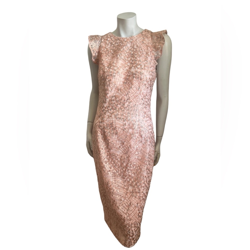 Carmen Marc Valvo Infusion Blush/Silver Embroidered  Size  6 Dress
